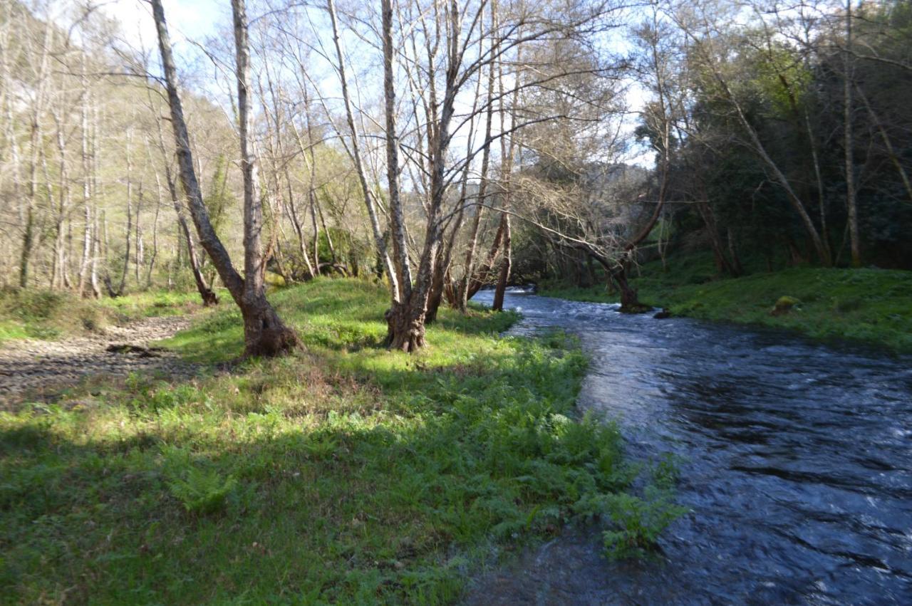 Las Palmeras Caldas De Reis Extérieur photo
